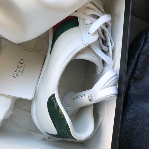 Gucci sneaker never been worm Gucci size 8 dust bag  and extra lace not included - Picture 4 of 6